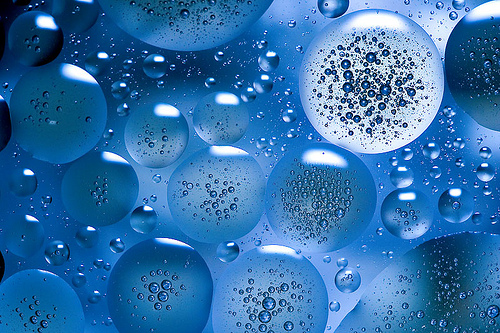bubblor